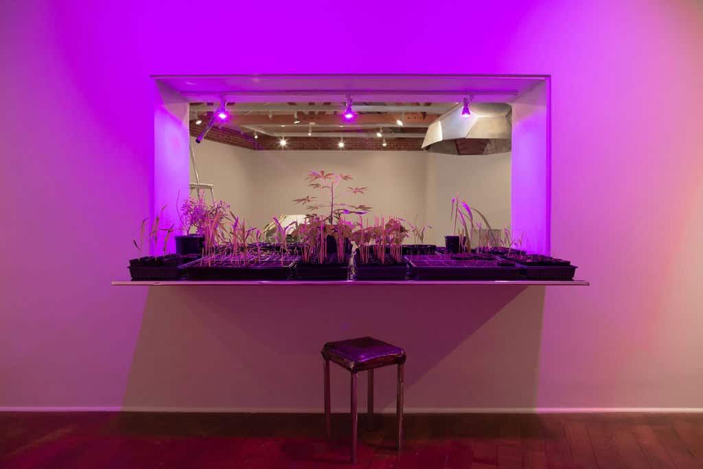 Beatriz Cortez: Trinidad / Joy Station, installation view, 2019.