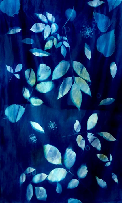 Shadows and Images_1