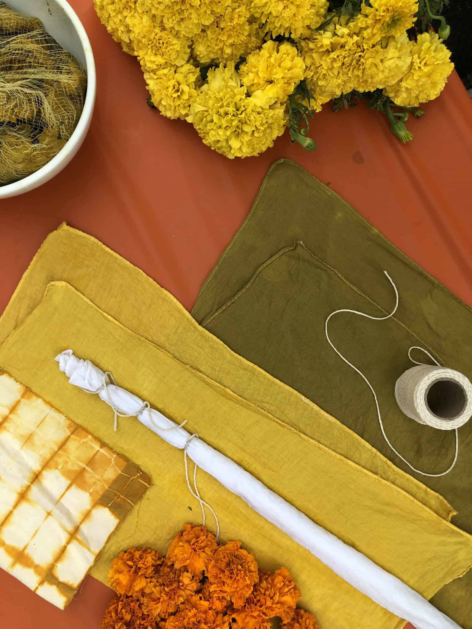 11_02_23_Marigold_1-2