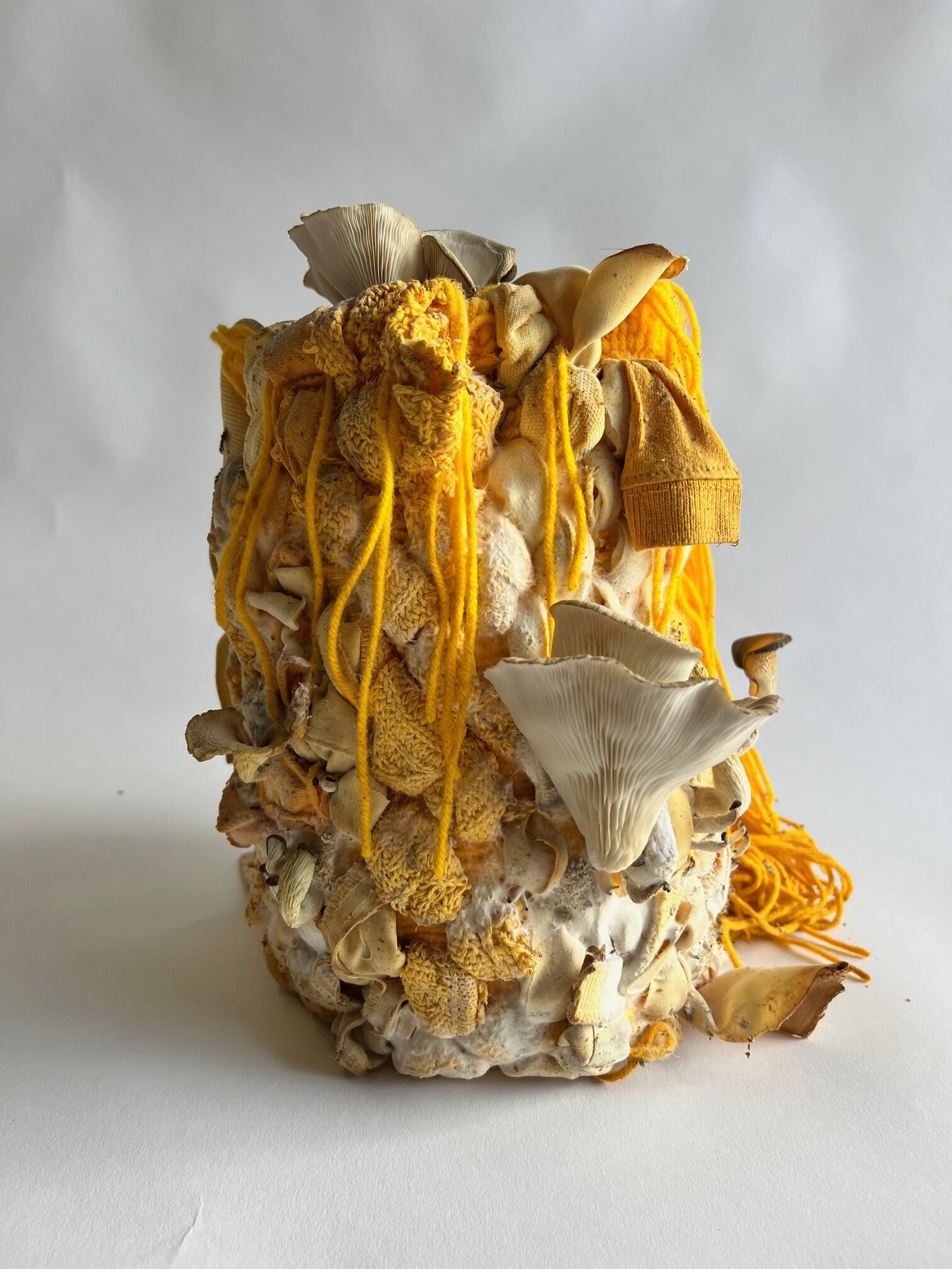 Re-dress_Minga Opazo_2021_Recylced textile and oyster mushroom mycelium_pigment print_edition of 5 + Ap_ 24 x 20 in unframed_Collection of the artist