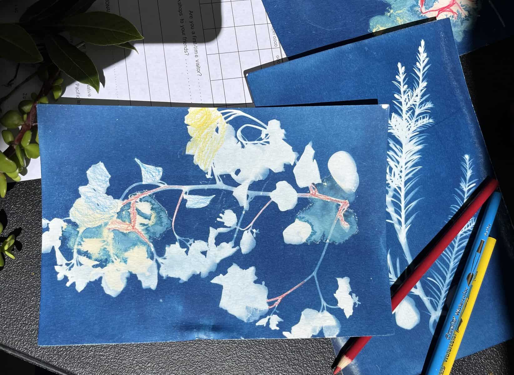 02-11-2024_CL_PersianCyanotypes_3