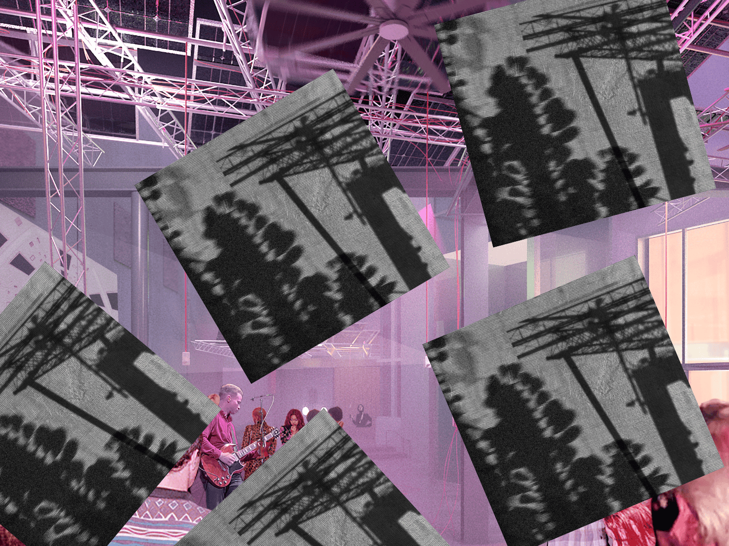 M&A - FL_AUARA Squarespace Image