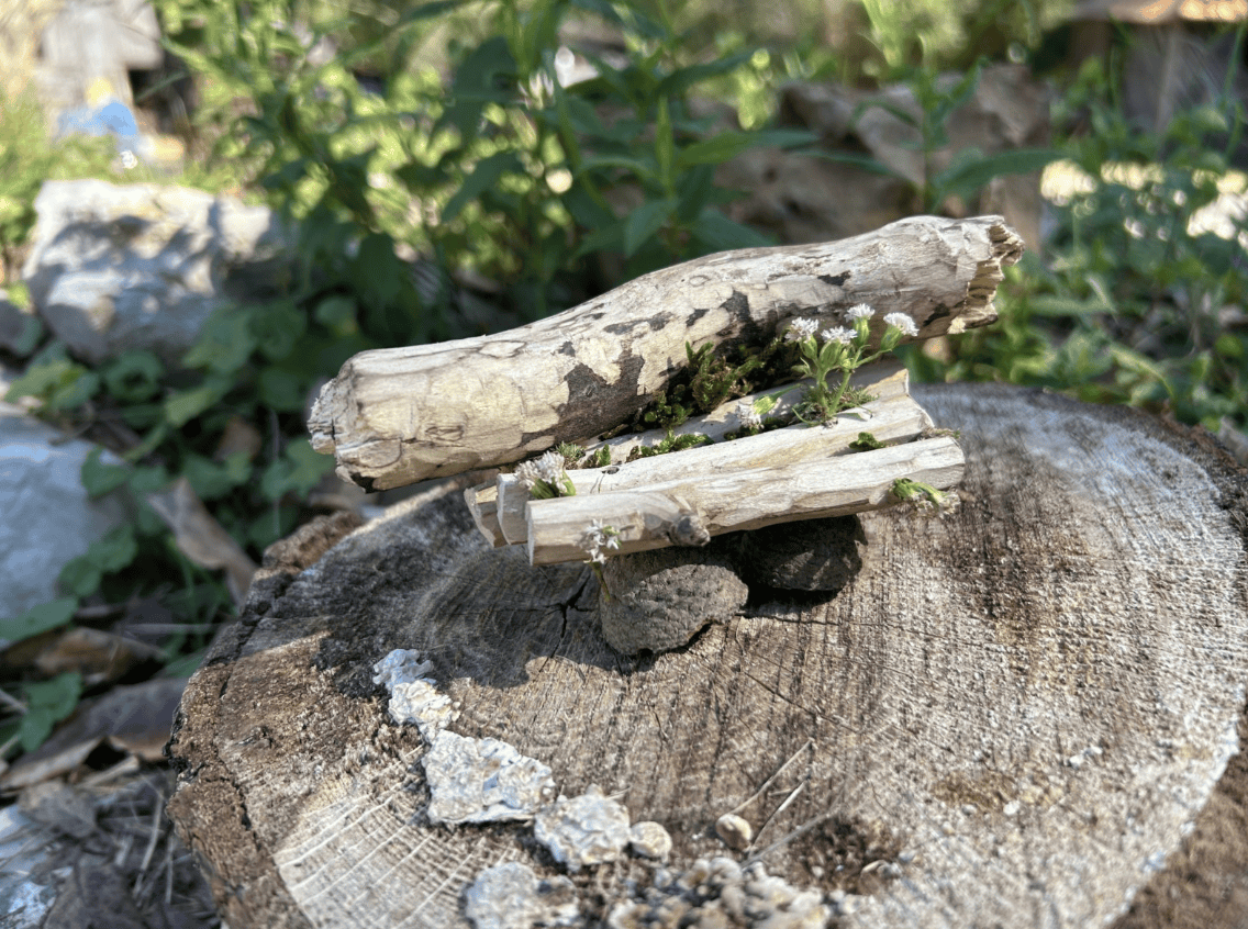 Screenshot 2026-02-18 at 1.16.09 PM