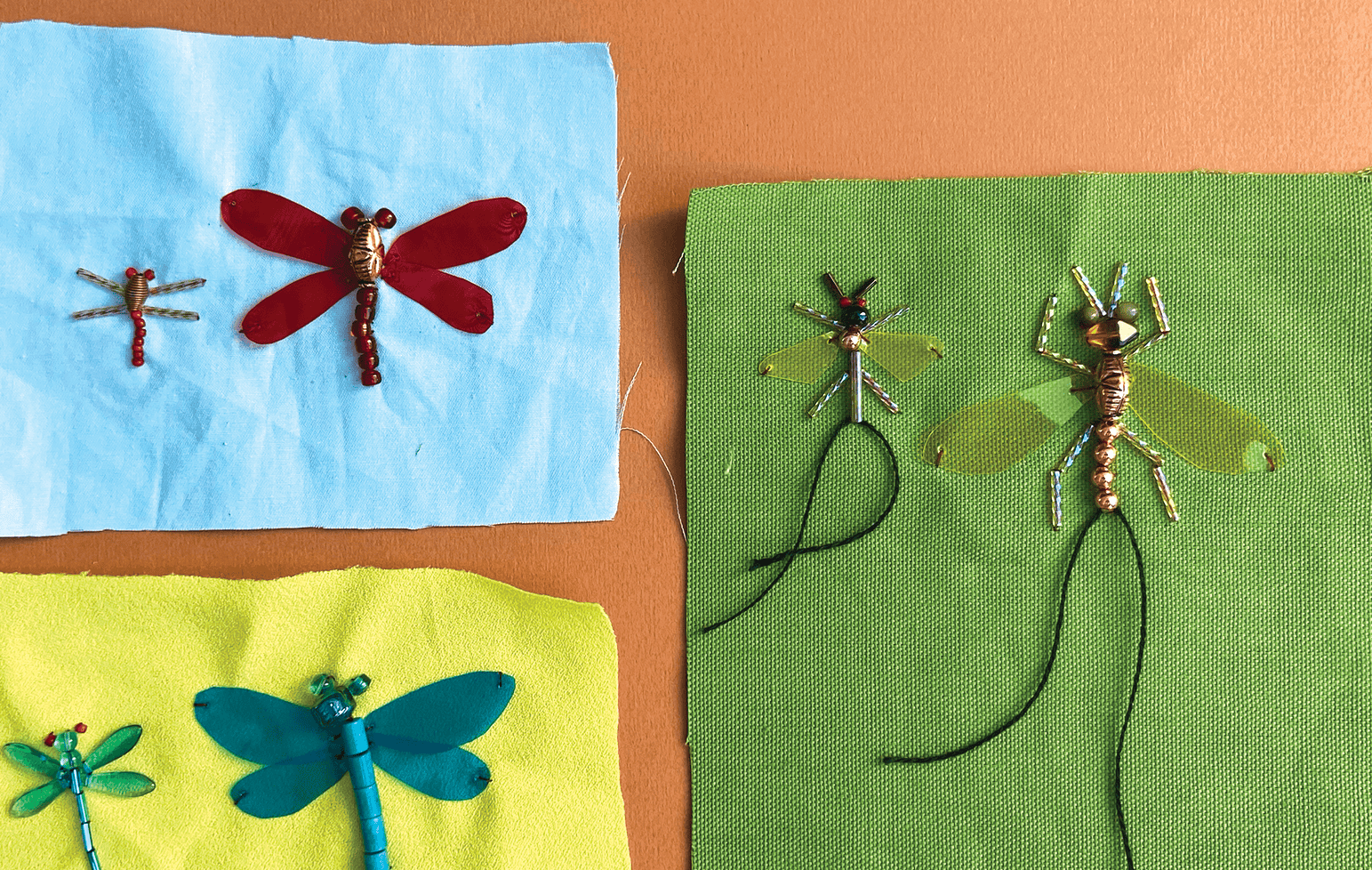insectcoverimage